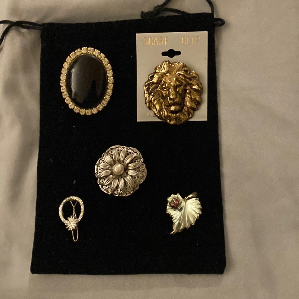 Scarf clips and pins